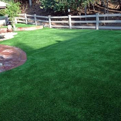 Artificial Turf Rainbow, California Cat Playground, Backyard Design