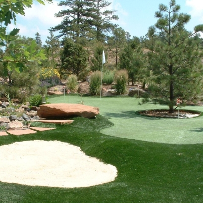 Artificial Turf San Pasqual, California Diy Putting Green, Backyard Ideas