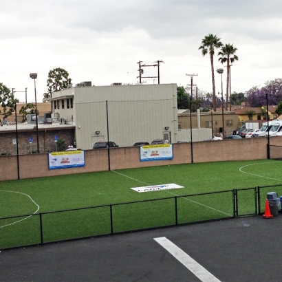 Best Artificial Grass Calipatria, California Sports Turf, Commercial Landscape