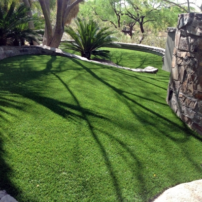 Best Artificial Grass Carlsbad, California Hotel For Dogs