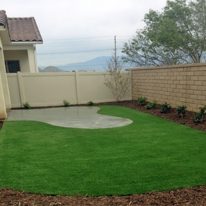 Best Artificial Grass La Mesa, California Lawn And Landscape, Beautiful Backyards
