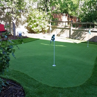 Best Artificial Grass Ramona, California Rooftop, Backyard Landscaping Ideas
