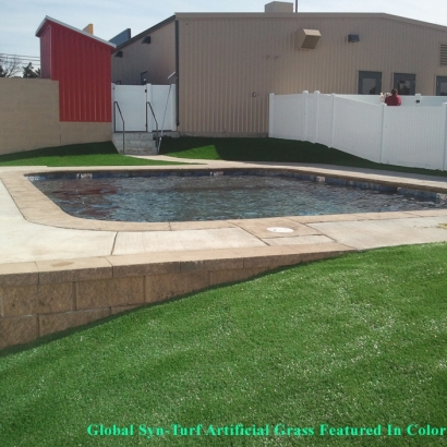 Best Artificial Grass Santee, California City Landscape, Natural Swimming Pools