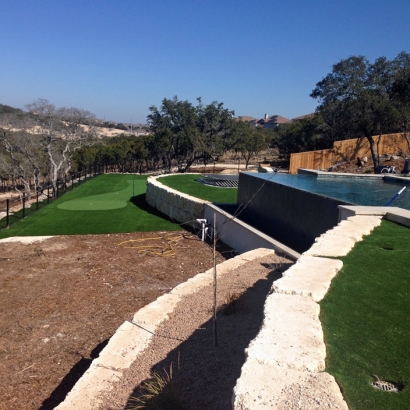 Fake Grass Bonita, California Garden Ideas, Swimming Pools