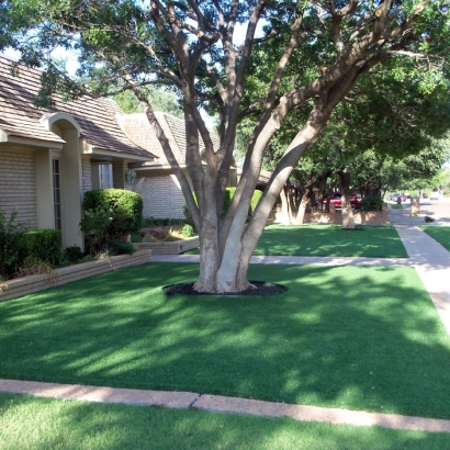 Fake Grass Carpet Alpine, California Home And Garden, Front Yard Landscaping