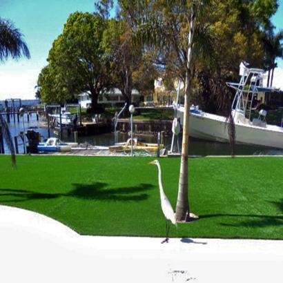 Fake Grass Carpet Jamul, California Lawn And Garden, Backyard Garden Ideas