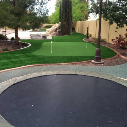 Fake Grass Carpet Vista, California Putting Greens, Backyard Designs