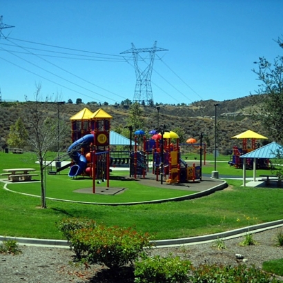 Fake Grass Fairbanks Ranch, California Design Ideas, Recreational Areas