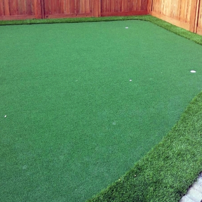 Fake Lawn Descanso, California Diy Putting Green, Backyards