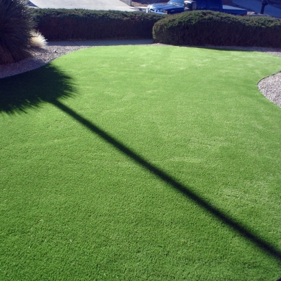 Fake Lawn San Pasqual, California Lawn And Landscape, Front Yard Landscape Ideas