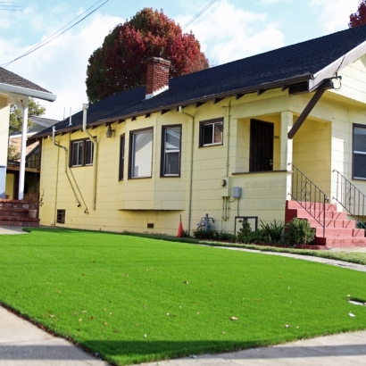 Fake Turf Coronado, California Roof Top, Front Yard Landscape Ideas