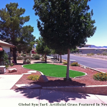 Fake Turf Niland, California Lawns, Front Yard Landscaping