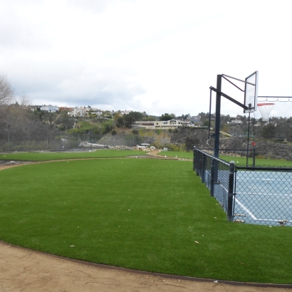 Fake Turf Poway, California Lawn And Landscape, Commercial Landscape