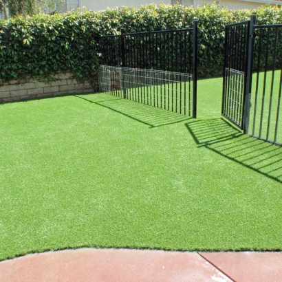 Fake Turf Rancho Santa Fe, California Watch Dogs, Front Yard Ideas