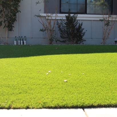 Fake Turf Vista, California Lawn And Garden, Front Yard Ideas