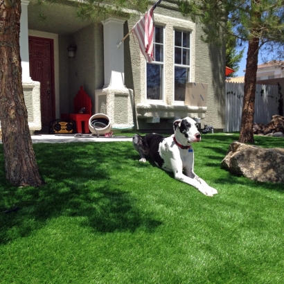 Faux Grass Bonita, California Dog Parks, Small Front Yard Landscaping