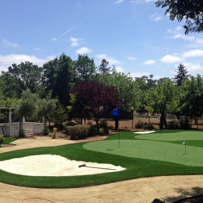 Faux Grass Calipatria, California Lawn And Garden, Front Yard Landscaping
