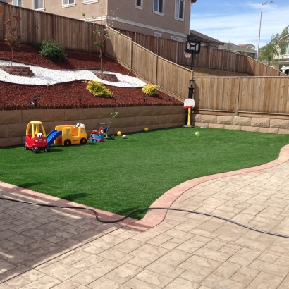 Faux Grass Heber, California Playground Turf, Backyard