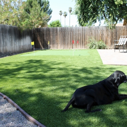 Faux Grass Lakeside, California Gardeners, Backyard Ideas