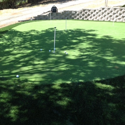 Faux Grass Oceanside, California Indoor Putting Green, Beautiful Backyards