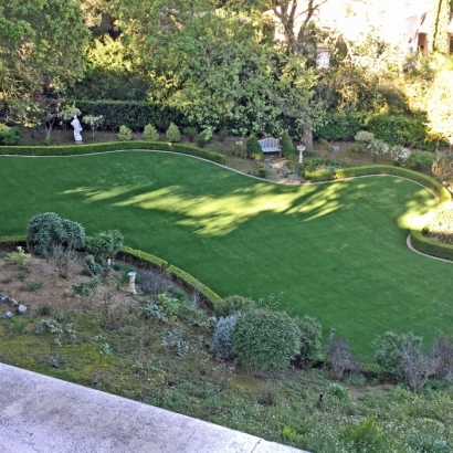 Faux Grass San Marcos, California Landscape Ideas, Backyard Ideas