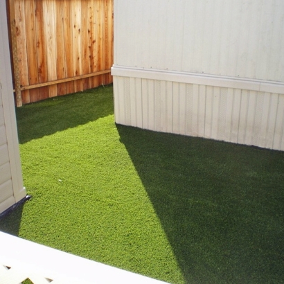 Grass Carpet Crest, California Artificial Turf For Dogs, Backyard Garden Ideas