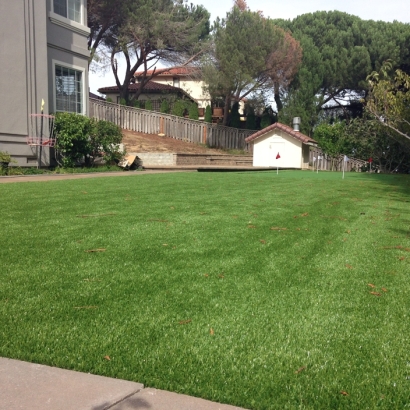 Grass Carpet Imperial, California Landscaping, Backyard Designs
