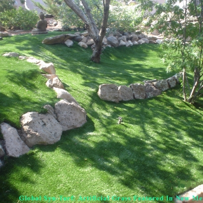 Grass Carpet Niland, California Gardeners, Pavers