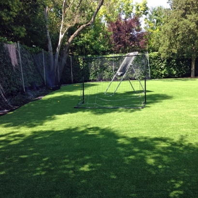 Grass Carpet Pine Valley, California Paver Patio, Backyard Landscaping