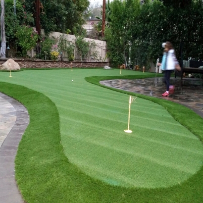 Grass Carpet San Pasqual, California Putting Green Carpet, Backyard Ideas
