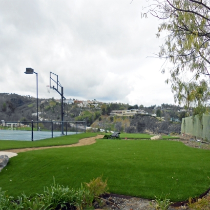 Grass Installation Rainbow, California Sports Athority, Commercial Landscape