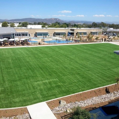 Grass Turf Imperial, California Sports Athority, Commercial Landscape