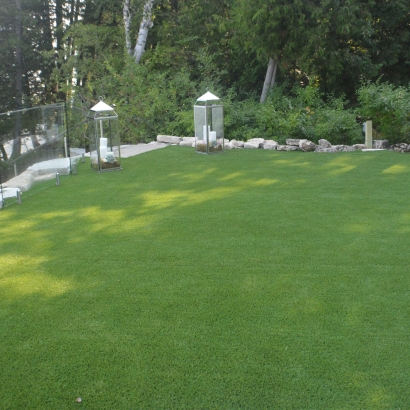 Grass Turf Solana Beach, California Gardeners, Small Backyard Ideas
