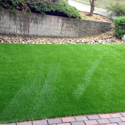 Green Lawn La Presa, California Dog Park, Small Backyard Ideas