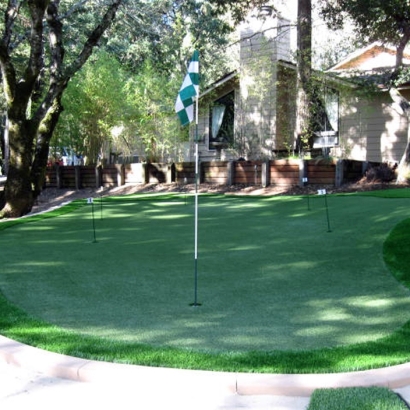 Green Lawn Oceanside, California Golf Green, Backyard Designs