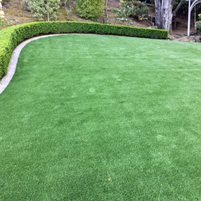 Green Lawn Rancho Santa Fe, California Lawns, Backyard