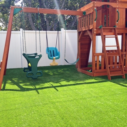 Green Lawn Spring Valley, California Home And Garden, Small Backyard Ideas