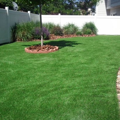 Installing Artificial Grass Lake San Marcos, California Landscape Ideas, Backyard Designs