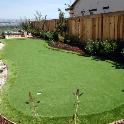 Lawn Services Campo, California Artificial Putting Greens, Backyard Designs