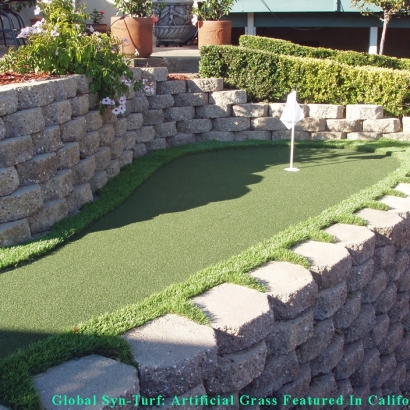 Lawn Services Holtville, California Indoor Putting Greens, Backyards