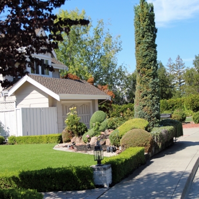 Lawn Services Holtville, California Landscaping Business, Front Yard Landscape Ideas