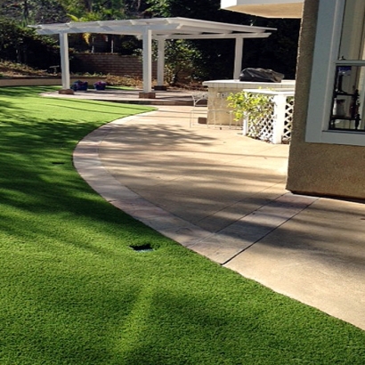 Lawn Services Lake San Marcos, California Dogs, Front Yard Landscaping Ideas