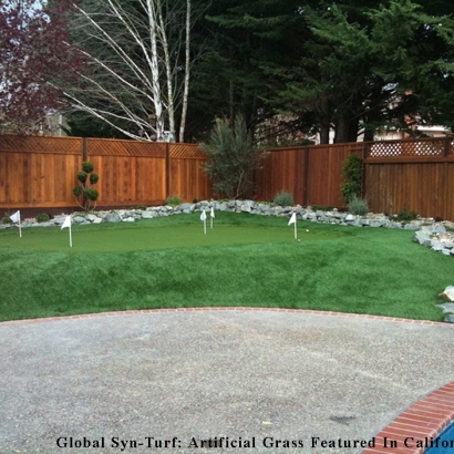 Lawn Services San Diego, California Lawns, Backyard Makeover