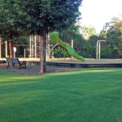 Outdoor Carpet Campo, California Landscape Photos, Parks