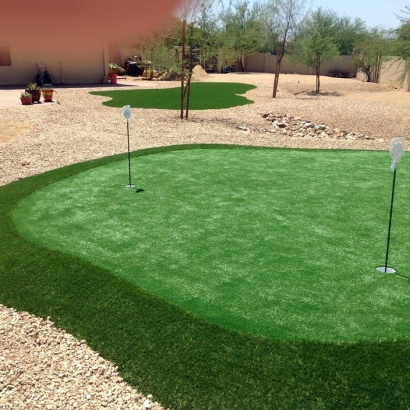 Outdoor Carpet San Diego, California Backyard Putting Green, Backyard Designs