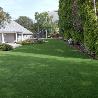 Outdoor Carpet Santee, California Landscaping, Front Yard Ideas
