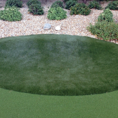 Plastic Grass Borrego Springs, California Landscape Ideas