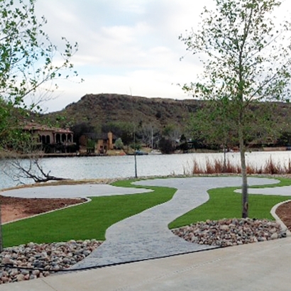 Plastic Grass Del Mar, California Backyard Playground