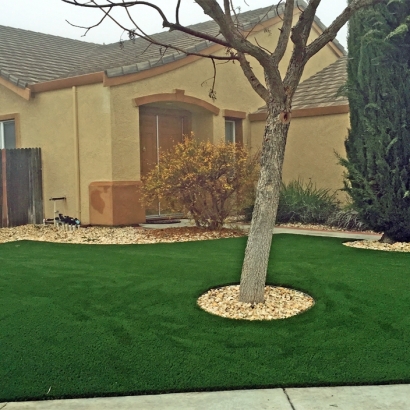 Plastic Grass Solana Beach, California Landscape Design, Landscaping Ideas For Front Yard