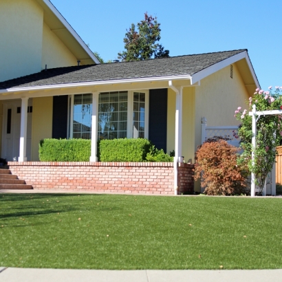 Synthetic Grass Cost San Diego, California Landscaping, Small Front Yard Landscaping